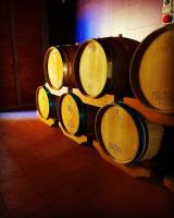 Plán poschodí v ubytovaní IL COLOMBAIO WINERY & Rooms
