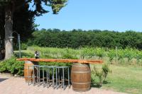 Vonkajšia záhrada v ubytovaní IL COLOMBAIO WINERY & Rooms
