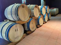 Plán poschodí v ubytovaní IL COLOMBAIO WINERY & Rooms