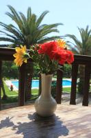 Bazén v ubytovaní Fiori Hotel alebo v jeho blízkosti