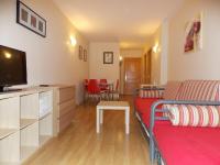 TV a/nebo společenská místnost v ubytování Apartamentos Fidalgo