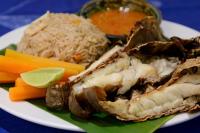 Un plato de comida con carne, arroz y zanahorias. en Unguja Lodge, en Kizimkazi