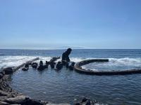 Půdorys ubytování Adeje Beach Holiday Home Viña del Mar