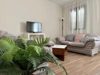 TV a/nebo společenská místnost v ubytování Apartamentos El Piquillo en Cadalso de los Vidrios