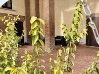 A garden outside Agriturismo Sabidor