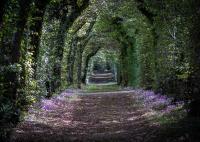 Ogród w obiekcie La Borde en Sologne Château & Spa