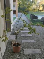 Vonkajšia záhrada v ubytovaní Domaine de Maeva