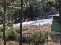 Plán poschodí v ubytovaní Maison dans la forêt de Bolquère, avec jardin.