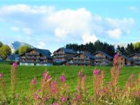 Vonkajšia záhrada v ubytovaní Chalet mitoyen 3 pièces, 8 pers. avec terrasse et parking à La Joue du Loup - FR-1-504-641