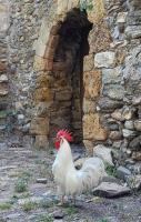 Půdorys ubytování Casa Rural Vilaspasa, alquiler integro