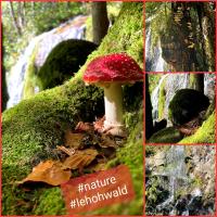 a collage of pictures with a red and white mushroom at Tilly&#39;s B&amp;B and apartment house in Le Hohwald