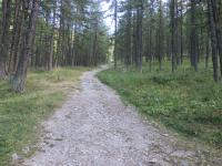 Przyroda w pobliżu tego apartamentu