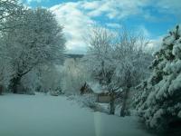 a snow covered road with trees and bushes at Gîte Anould, 4 pièces, 6 personnes - FR-1-589-2 in Anould