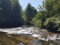 a river with white water and trees in the background at Gîte de charme avec jacuzzi étang babyfoot et rivière 