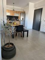 Kuchyň nebo kuchyňský kout v ubytování Eleusis Luxury Flat park in yard