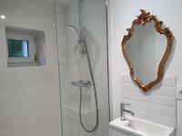 a bathroom with a shower with a mirror and a sink at Pavillon d&#39;Aÿ cottage Champagne - Label Green Key in Ay