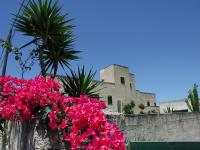 a bunch of pink flowers in front of a building at Casale Due Palme in Favignana