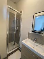 y baño con ducha, lavabo y espejo. en Duplex quartier des thermes Appart Hotel le Cygne 9, en Vichy