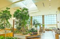 Zahrada ubytování KAMENOI HOTEL Fukui