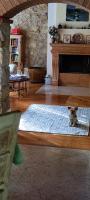 The floor plan of B&B QUINTARELLI