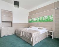 Postel nebo postele na pokoji v ubytování Hotel Zlatá Hvězda