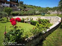 A garden outside B&B QUINTARELLI