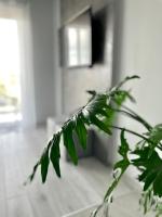 Televízia a/alebo spoločenská miestnosť v ubytovaní Ach, To Tu- Apartament Łańcut