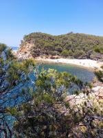 Plan piętra w obiekcie STUDIO SANARY Accès Plage par Tunnel Privé