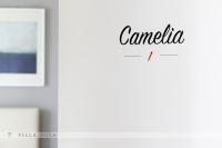 Certifikát, ocenenie alebo iný dokument vystavený v ubytovaní B&B Villa Rosa