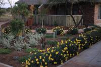 a garden with yellow flowers in a yard at Manong Game Lodge in Gaborone