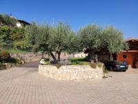 A garden outside B&B QUINTARELLI