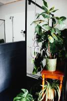 a potted plant sitting on a table next to a mirror at Eau Berges in Vicdessos