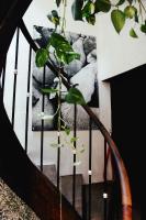 a plant growing on the side of a staircase at Eau Berges in Vicdessos