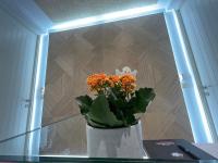 Půdorys ubytování Apartments BICO DE RODAS a Rural Luxury