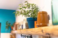 Půdorys ubytování Apartament Latynoski z ogrodem - Dream Apart