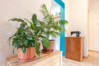 Půdorys ubytování Apartament Latynoski z ogrodem - Dream Apart