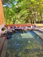 日光市にあるK&#39;s House Nikko - Kinugawa Onsen Hostelの裏庭の岩を使った大きな水のプール
