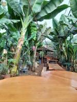 Сад в Tenerife Homestay