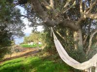 a hammock hanging from a tree on a beach at Domaine de la coletta Maison traditionnelle in Coti-Chiavari