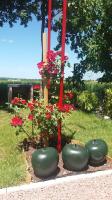 a group of green pots with flowers in a garden at meublé entier indépendant en contigu de ma maison in Saint-Georges-sur-Moulon