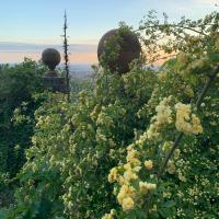 A garden outside Podere Le Vedute