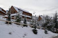 Drevenica Desina v zime