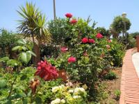 A garden outside Mercedes Torremolinos Central 2 Bedroom, Sea Views