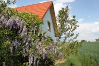 Vonkajšia záhrada v ubytovaní Urlaub am Kinispa