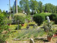 A garden outside Kitti Apartman