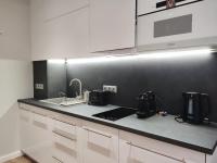 Kuchyňa alebo kuchynka v ubytovaní Spa Residence Carbona Mona Lila Apartman