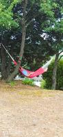 a kite hanging from a tree in a park at Le Rocher au Thym in Limoux