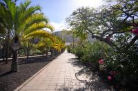 Zahrada ubytování Terraza Los Cristianos