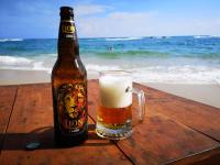 Nápoje v ubytování Turtle Bay Beach Resort