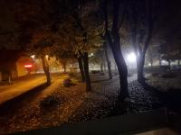 a park at night with trees and a street at Apartman Danijela in Vukovar